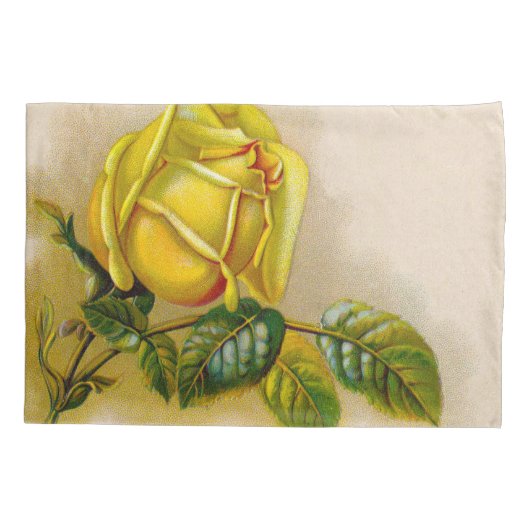 Yellow Rose Antiek  Print Fine Art Kussensloop (Achterkant)