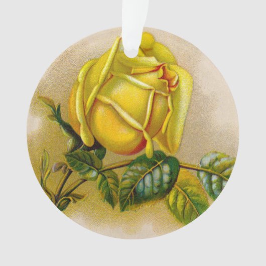 Yellow Rose Antiek Print Fine Art Ornament (voorkant)