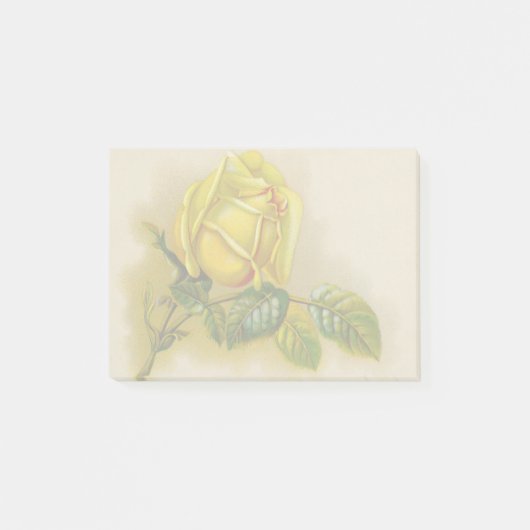 Yellow Rose Antiek  Print Fine Art Post-it® Notes (Voorkant)