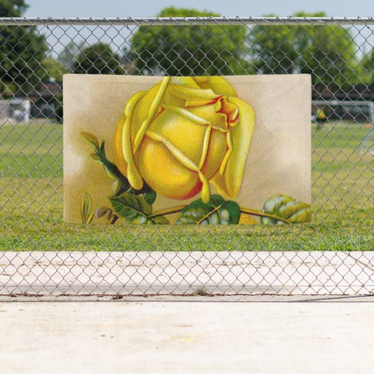 Yellow Rose Antiek Print Fine Art Spandoek (Insitu)
