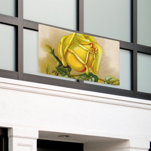 Yellow Rose Antiek Print Fine Art Spandoek (Buitenkant Gebouw)