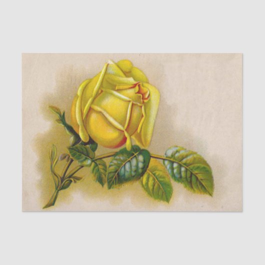 Yellow Rose Antiek Print Fine Art Tissuepapier (Voorkant)