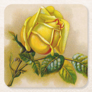 Yellow Rose Antiek  Print Fine Art Vierkante Kartonnen Onderzetter