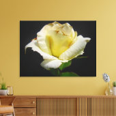 Yellow Rose Canvas Afdruk (Insitu (Woonkamer))