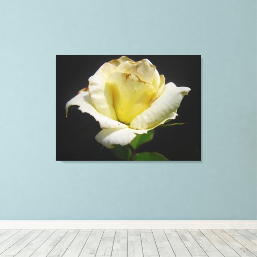 Yellow Rose Canvas Afdruk (Insitu (Houten vloer))