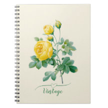 Yellow Rose Fine art