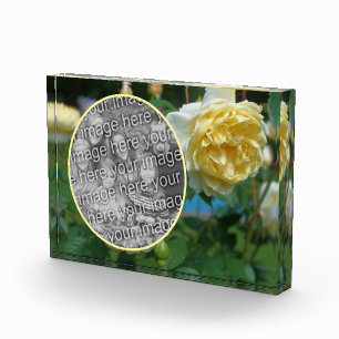 Yellow Rose Flower Creëer Uw Eigen Fotoblokken