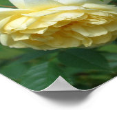 Yellow Rose Flowers Spiegel Abstract Poster (Hoek)