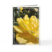 Yellow Rose Foto op Blank Kaart