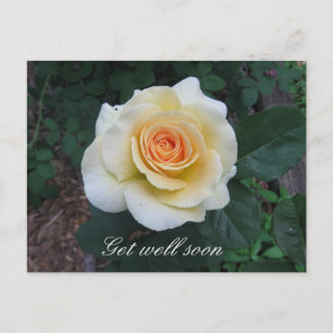 Yellow Rose Greeting Briefkaart