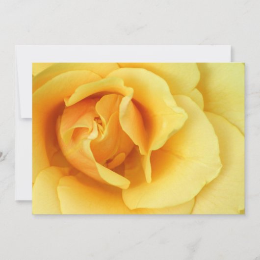 Yellow Rose Invitation Kaart (Voorkant)
