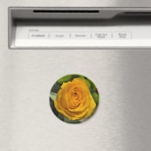 Yellow Rose Magnet (In Situ (Lave-vaisselle))
