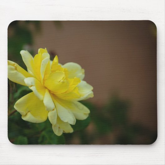 Yellow Rose Muismat (Voorkant)