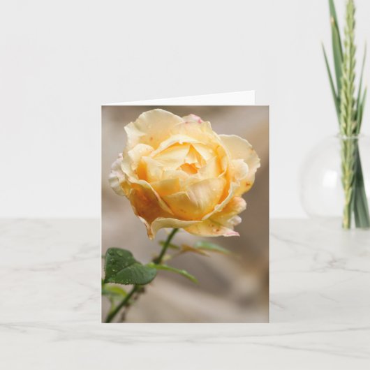 Yellow Rose Note Card Bedankkaart (Voorkant)