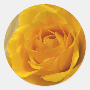 Yellow Rose Petals Ronde Sticker