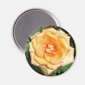 Yellow Rose Photo Round Magnet Magneet (Voorkant / Achterkant)