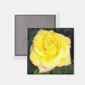 Yellow Rose Photo Square Magnet Magneet (Voorkant / Achterkant)