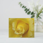 Yellow Rose Plstcard Briefkaart (Staand voorkant)