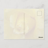 Yellow Rose Plstcard Briefkaart (Achterkant)