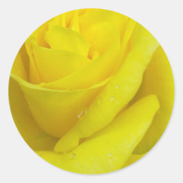 Yellow Rose Sticker