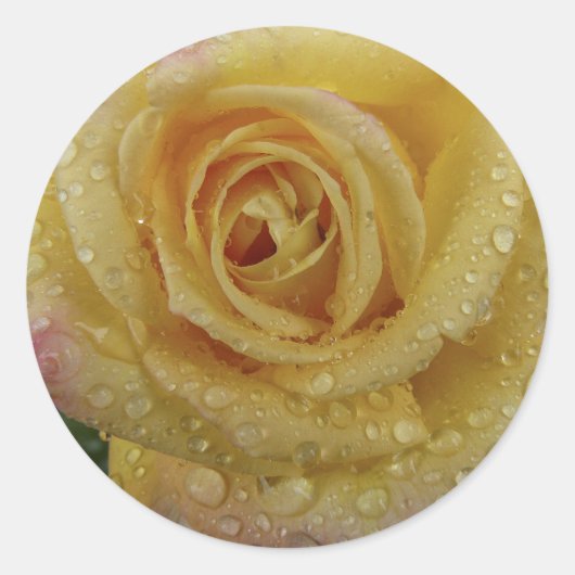 Yellow Rose-Sticker Ronde Sticker (Voorkant)
