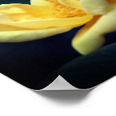 Yellow Rose Trio Poster (Hoek)