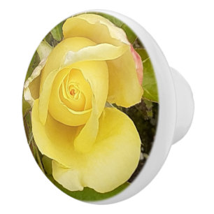 Yellow Rosebud Keramische Knop