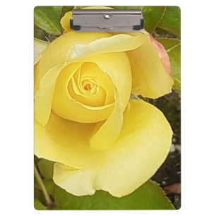 Yellow Rosebud-klembord Klembord