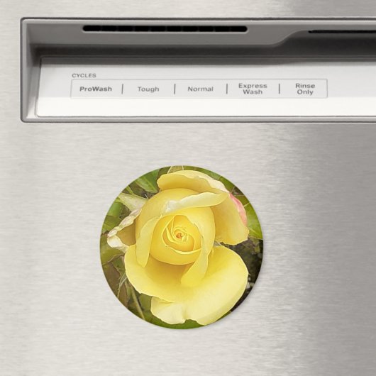 Yellow Rosebud Magnet Magneet (Insitu (Vaatwasser))
