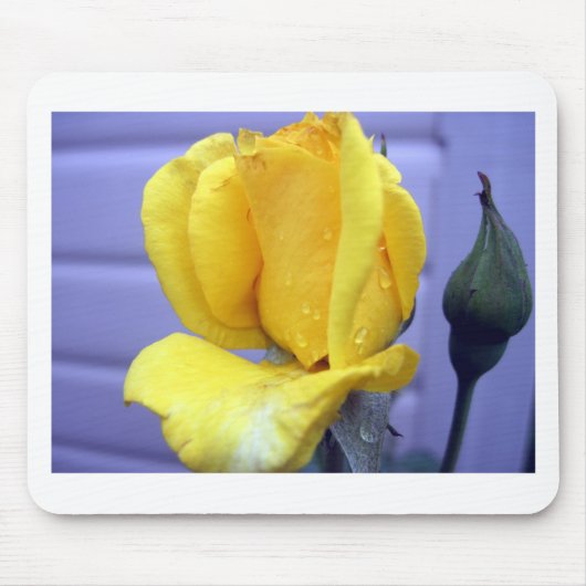 Yellow Rosebud Muismat (Voorkant)