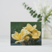 Yellow Rosebuds Flower Photography  Briefkaart (Staand voorkant)