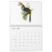 Yellow Rosella Kalender (Mar 2027)