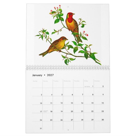 Yellow Rosella Kalender (Jan 2027)