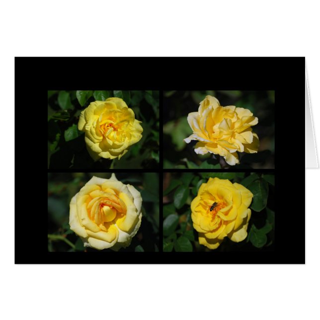 Yellow Roses Collage Card (Voorkant Horizontaal)