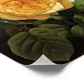 Yellow Roses Flower Art Print Poster (Hoek)