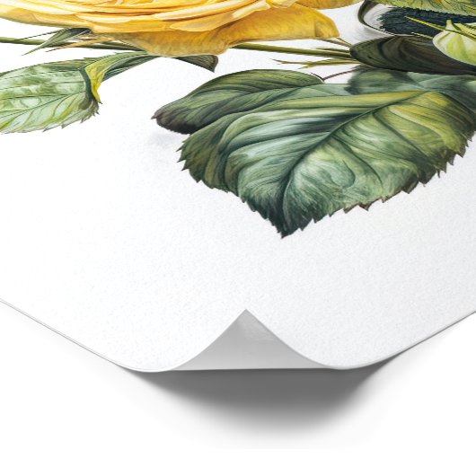 Yellow Roses Flower Art Print Poster (Hoek)