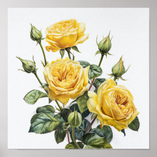 Yellow Roses Flower Art Print Poster