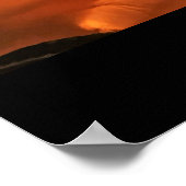 Yellow Roses Foto Poster (Hoek)