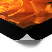 Yellow Roses Foto Poster (Hoek)