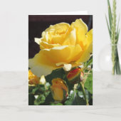 Yellow Roses Greeting Card Aankondiging (Voorkant)