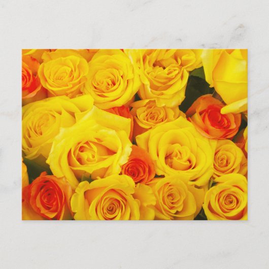 Yellow Roses Paris Briefkaart (Voorkant)