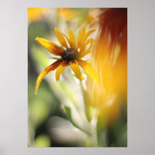 Yellow Rudbeckia Flower Poster (Voorkant)