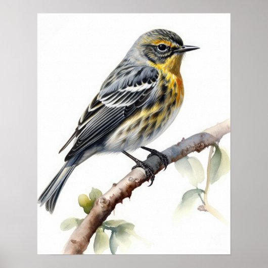 Yellow Rumped Warbler Bird Art Print Poster (Voorkant)