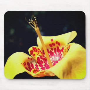 Yellow Spotted Lily Flower Muismat