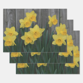 Yellow Spring Daffodil Garden Rustic Country Foto Inpakpapier Vel
