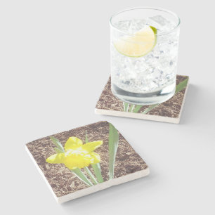 Yellow Spring Daffodil Stenen Onderzetter