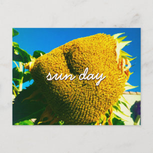 Yellow Sunflower Photo Sun Day Quote Script Briefkaart