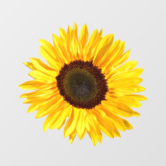 Yellow Sunflower Window Cling Raamsticker (Vel)