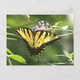 Yellow Swallow Tail Butterfly Briefkaart