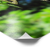 Yellow Swallowtail ~ Foto Foto Afdruk (Hoek)